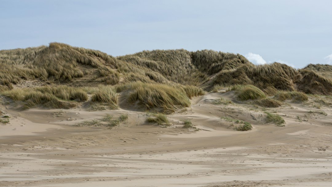 Conter o mar ou recuar? O futuro das cidades costeiras Dunas cobertas por vegetação natural junto à praia
